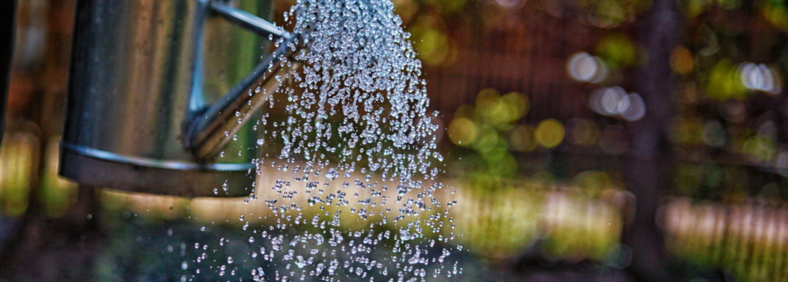 Photo Credit: Sustainable Water Partnership