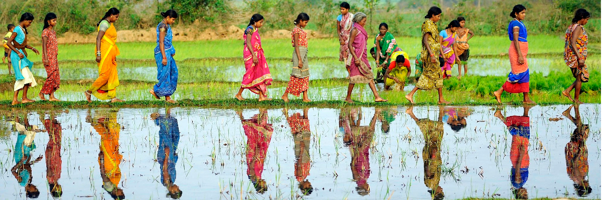 divider-image.png divider-image.png