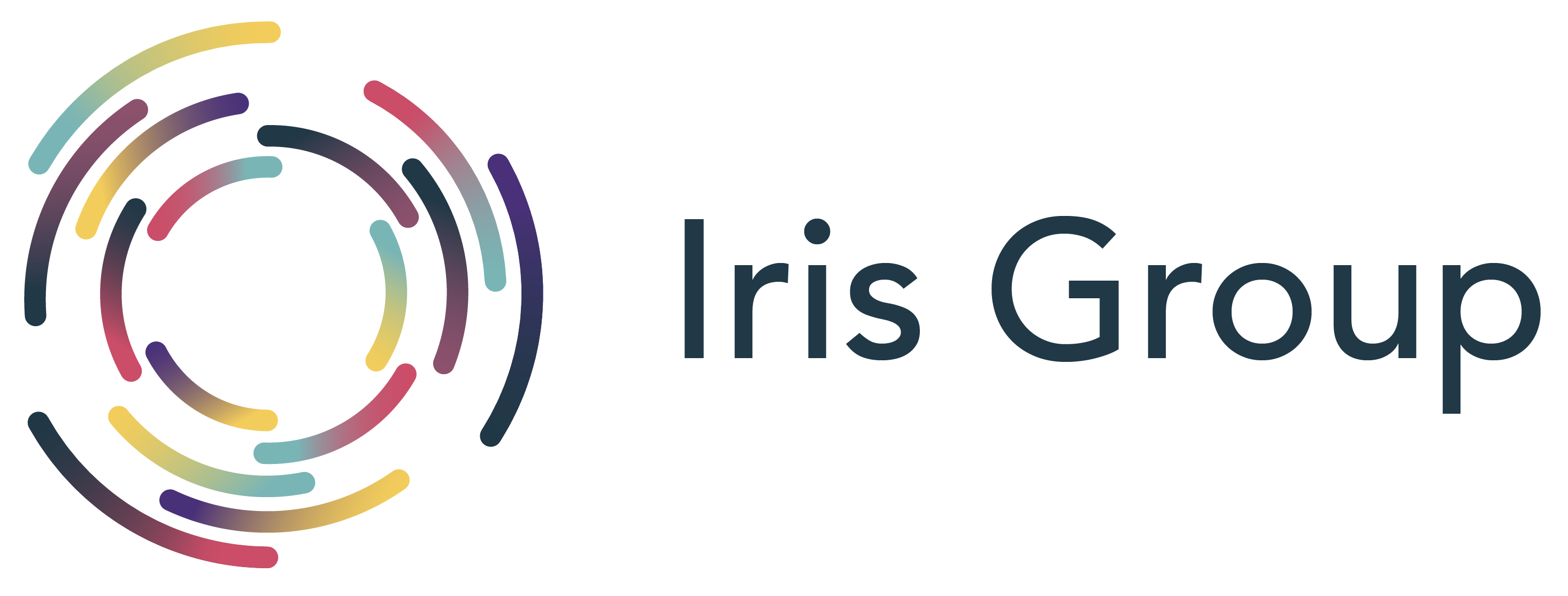Iris Group Logo