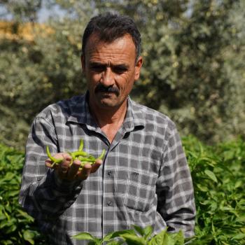 10 Ways USAID is Addressing Water Scarcity in Iraq