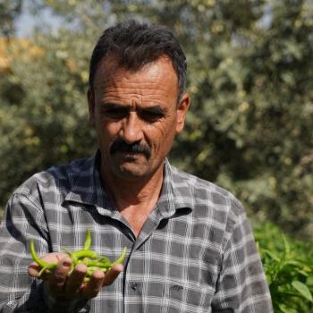 10 Ways USAID is Addressing Water Scarcity in Iraq