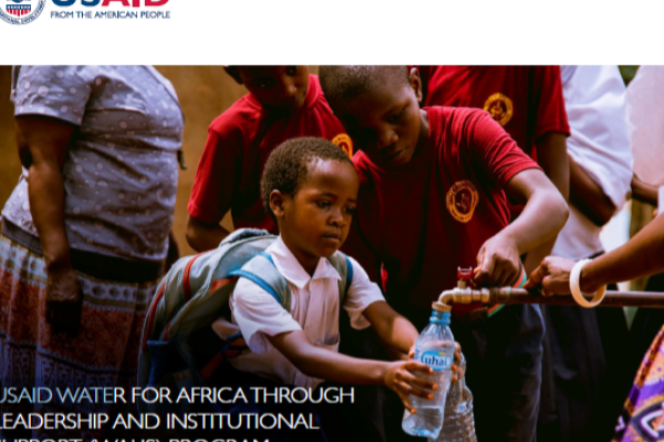 WALIS Final Summary Report