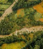 Photo Credit: Bobby Neptune