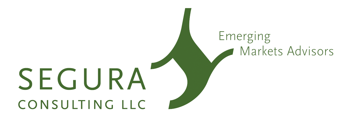 Segura Consulting Segura Consulting Logo