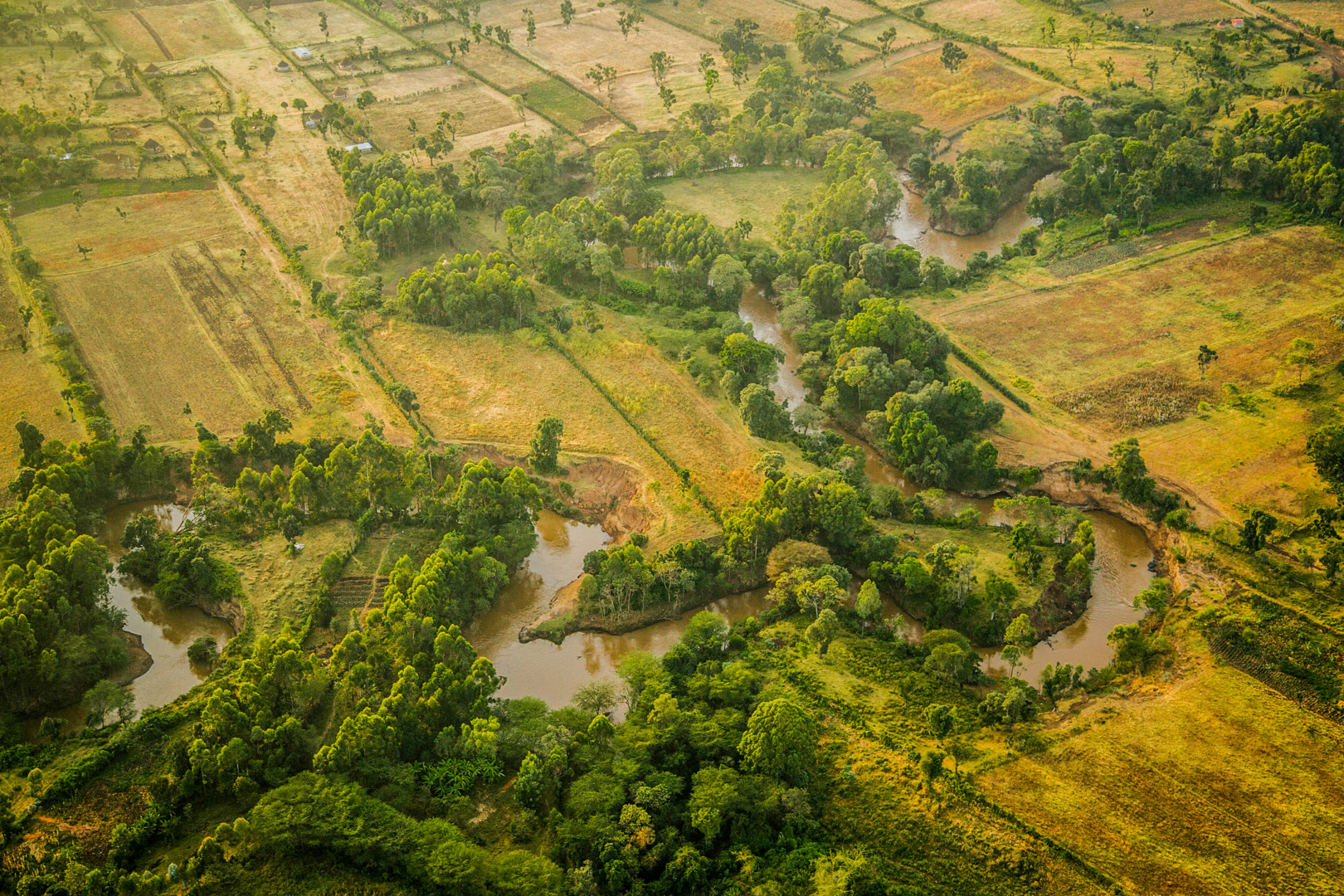In Kenya and Tanzania’s shared Mara River Basin (above), local stakeholders taking part in a water security improvement process prioritized activities such as the reforestation of degraded riparian areas. Photo By: Bobby Neptune