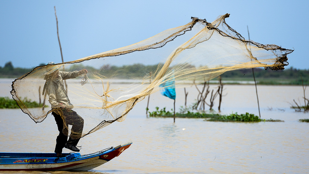 A fisherman casts a net in a lake at the downstream area of the Stung Chinit River Watershed. Fishermen here rely on fish for food and supplemental income, but upstream deforestation and pollution from pesticides, fertilizers and mining interests have reduced the quality and quantity of water downstream. Photo by Jeremy Holden.