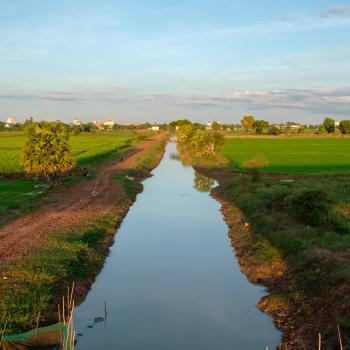 In Cambodia, this irrigation canal near Tonlé Sap waters the surrounding rice fields, contributing to the country’s food supply.  The USAID-funded Sustainable Water Partnership (SWP) is helping Cambodians achieve water security through its Tonlé Sap Basin Activity.  Photo credit: Thomas DeCian for Winrock International