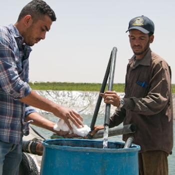 The Water Innovation Technologies team carrying out a fertigation project. Fertigation is a widely used farming practice that combines fertilization and irrigation to save time, resources, and effort. Photo credit: Mercy Corps