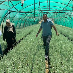WADI supports local communities to grow native seedlings utilizing water conserving technologies and sustainable nursery management practices. Photo credit: USDA