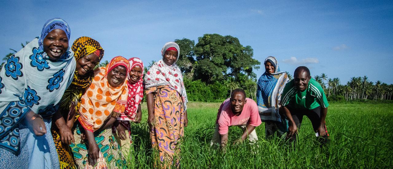 In Zanzibar, an island in the Indian Ocean off the East African coast, farmers improve rice yields as part of the U.S. government's Feed the Future initiative. Photo Credit: Megan Johnson/USAID