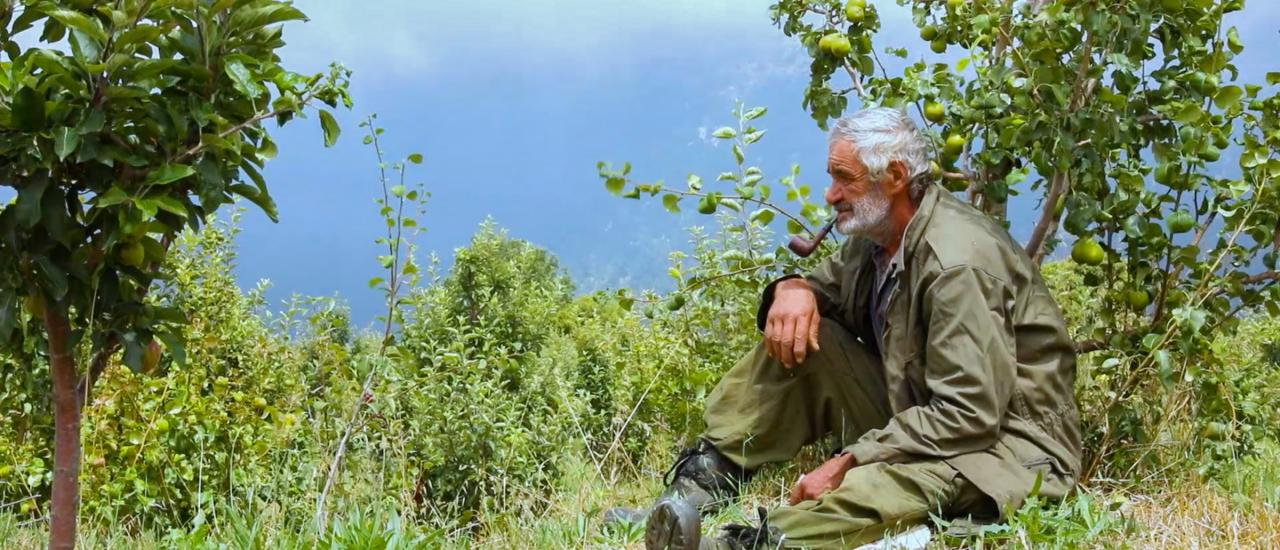 Lebanese farmer Haykal Jibrael Mikhael sits in his apple orchard, which now receives irrigation water thanks to the USAID–funded Lebanon Water Project (LWP). Photo credit: Mahmoud Rida/LWP