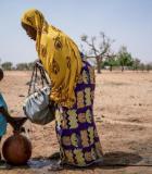 Understanding the Links between WASH and Nutrition - Part I